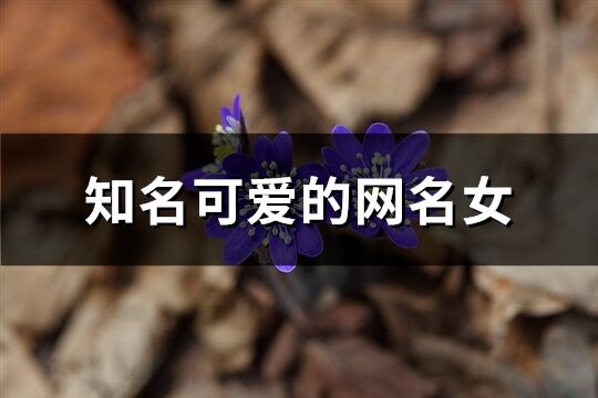 知名可愛的網(wǎng)名女(605個(gè))