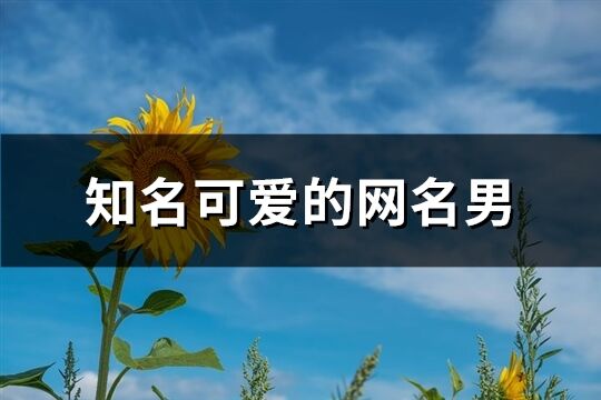 知名可愛的網(wǎng)名男(精選318個(gè))