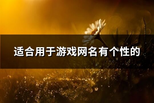 適合用于游戲網名有個性的(共403個)
