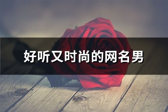 好聽又時尚的網名男(優選231個)