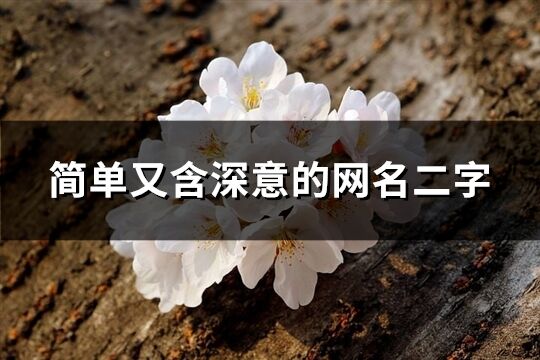簡單又含深意的網名二字(精選1893個)