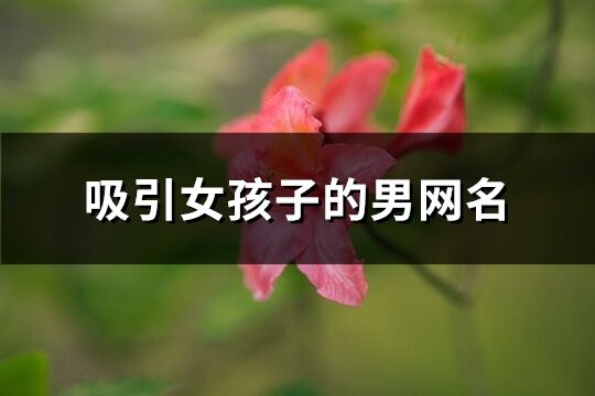 吸引女孩子的男網(wǎng)名(精選325個(gè))
