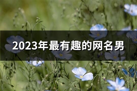 2023年最有趣的網名男(優選622個)