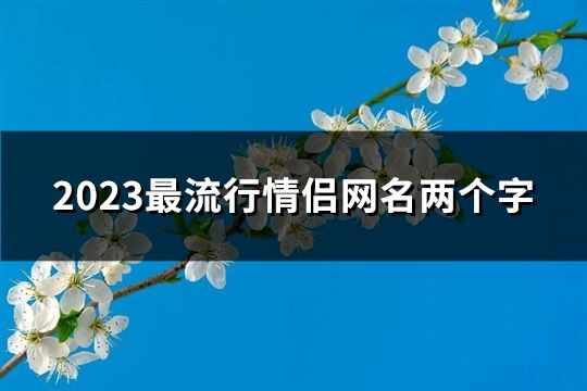 2023最流行情侶網名兩個字(優(yōu)選229個)