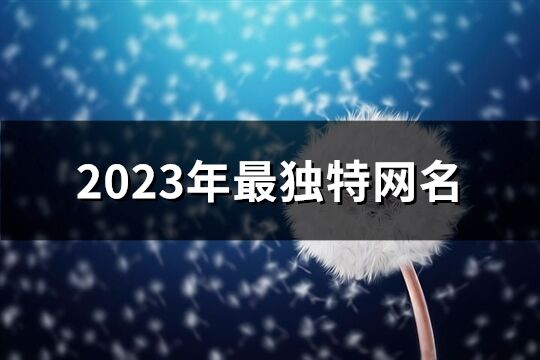 2023年最獨特網名(541個)