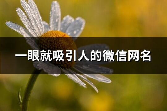 一眼就吸引人的微信網名(共549個)