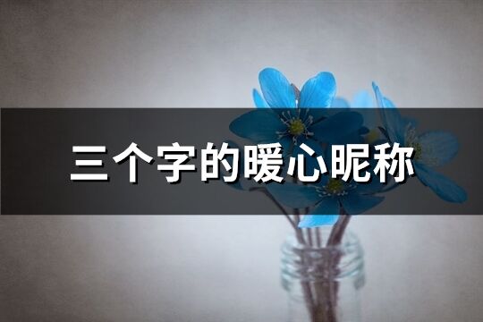 三個字的暖心昵稱(精選465個)