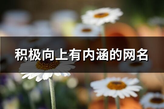 積極向上有內涵的網名(優選161個)