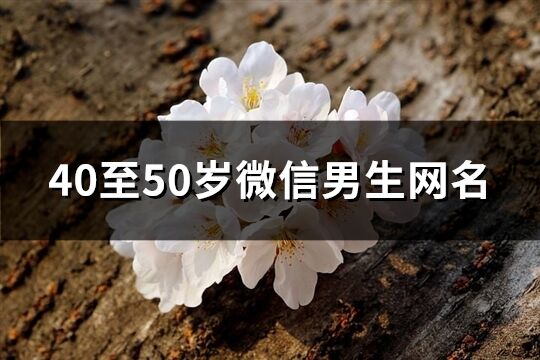40至50歲微信男生網名(493個)