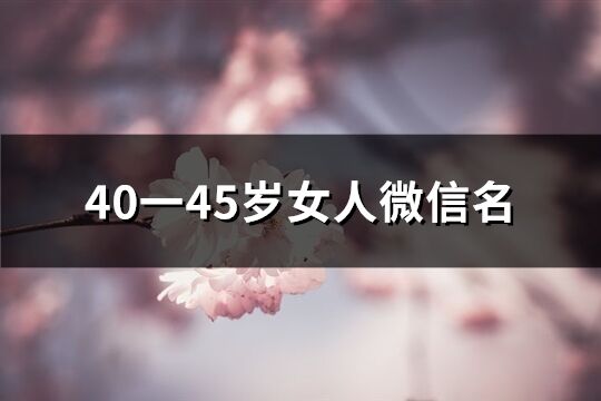 40一45歲女人微信名(共1740個)