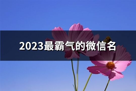 2023最霸氣的微信名(360個)