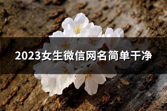2023女生微信網(wǎng)名簡單干凈(共657個)