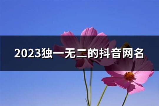 2023獨一無二的抖音網名(精選457個)