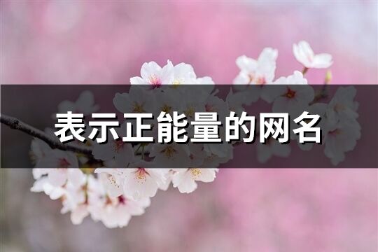 表示正能量的網(wǎng)名(精選160個)