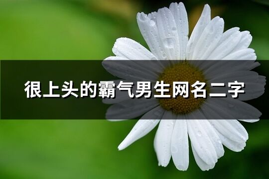 很上頭的霸氣男生網名二字(948個)