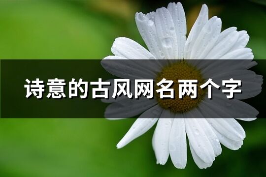 詩意的古風(fēng)網(wǎng)名兩個字(精選1026個)