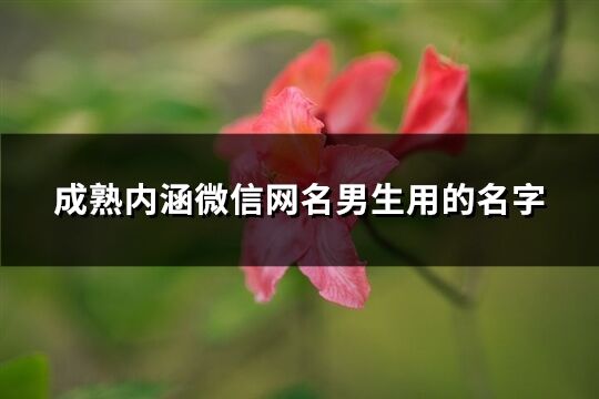 成熟內涵微信網名男生用的名字(精選360個)