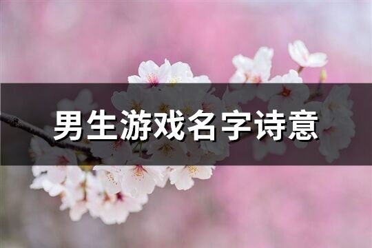 男生游戲名字詩意(共170個)