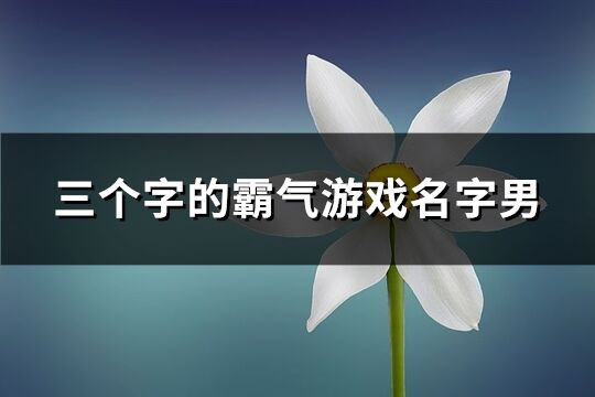 三個字的霸氣游戲名字男(945個)