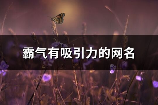霸氣有吸引力的網(wǎng)名(精選339個)