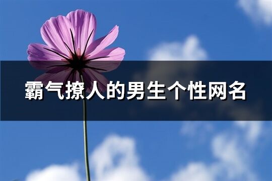 霸氣撩人的男生個性網名(精選393個)