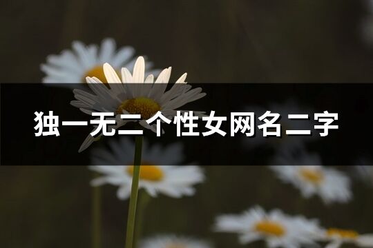 獨(dú)一無(wú)二個(gè)性女網(wǎng)名二字(377個(gè))