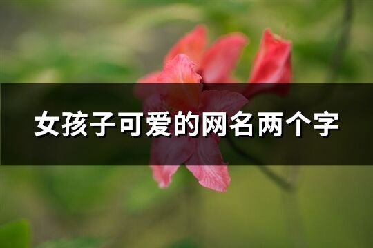 女孩子可愛的網名兩個字(968個)