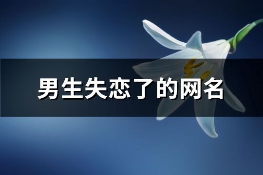 男生失戀了的網名(共181個)