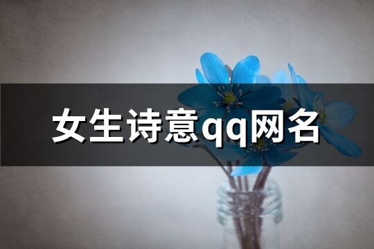 女生詩意qq網(wǎng)名(140個(gè))