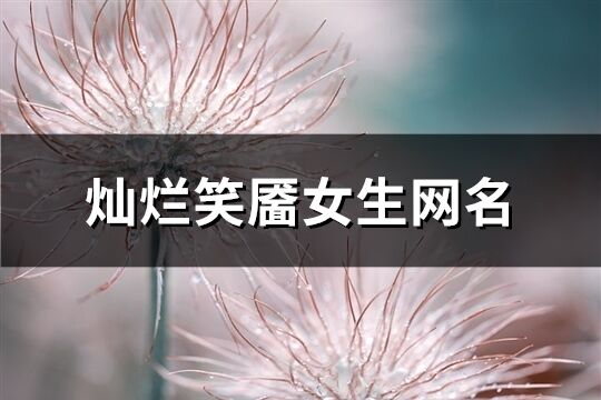 燦爛笑靨女生網名(共126個)
