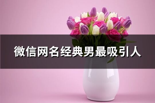 微信網名經典男最吸引人(411個)