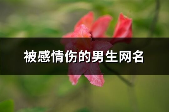被感情傷的男生網名(精選247個)