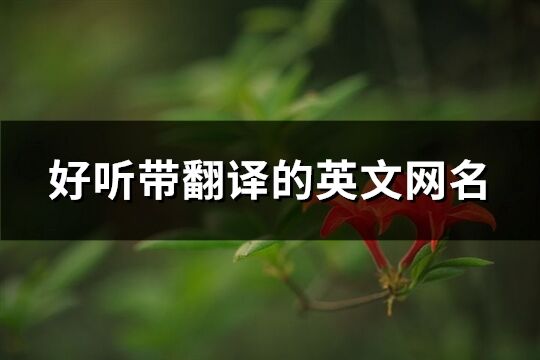 好聽帶翻譯的英文網(wǎng)名(優(yōu)選157個)