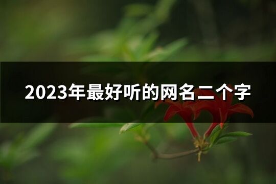 2023年最好聽的網名二個字(精選419個)