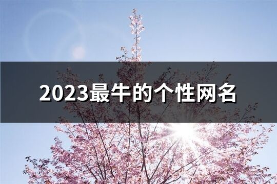 2023最牛的個性網名(共802個)