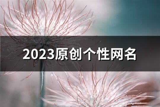 2023原創個性網名(精選1232個)