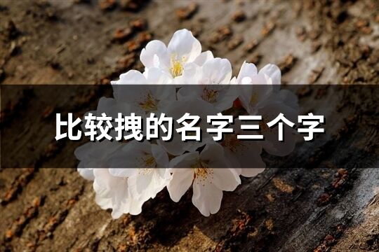 比較拽的名字三個字(精選335個)