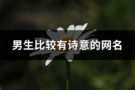 男生比較有詩意的網名(精選479個)