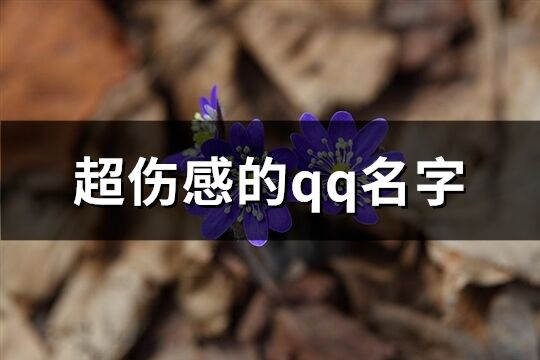 超傷感的qq名字(優(yōu)選243個(gè))