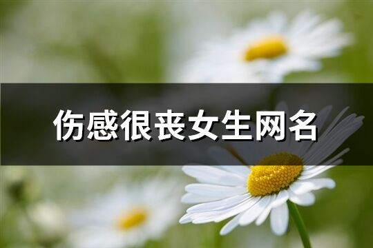 傷感很喪女生網名(精選248個)