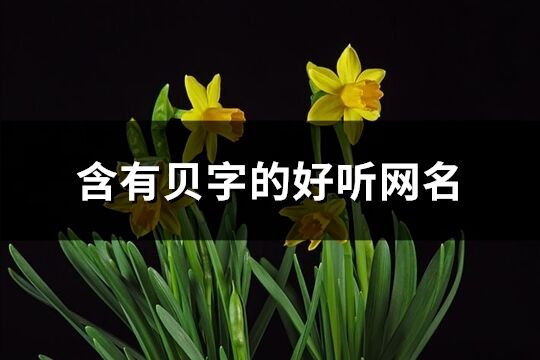 含有貝字的好聽網(wǎng)名(共70個)