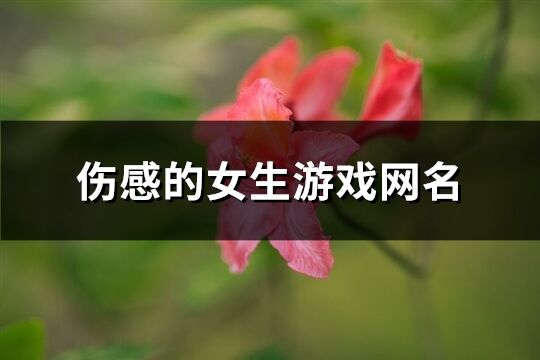 傷感的女生游戲網名(230個)