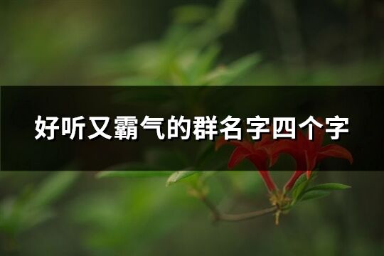 好聽又霸氣的群名字四個字(精選162個)