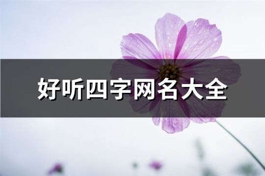 好聽四字網(wǎng)名大全(優(yōu)選484個(gè))