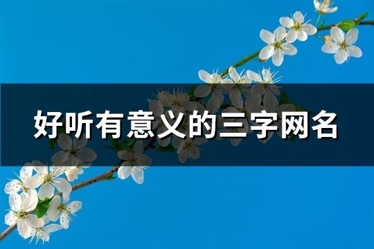 好聽有意義的三字網名(優(yōu)選472個)