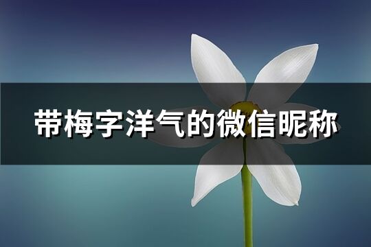 帶梅字洋氣的微信昵稱(94個)