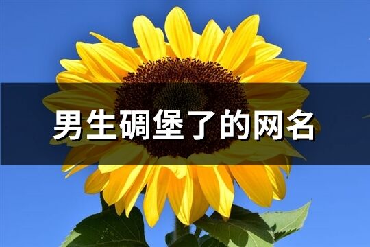 男生碉堡了的網(wǎng)名(優(yōu)選402個(gè))
