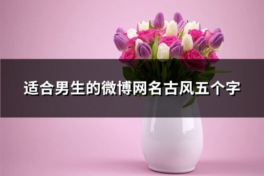 適合男生的微博網名古風五個字(135個)