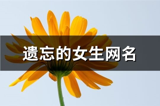 遺忘的女生網(wǎng)名(優(yōu)選237個)