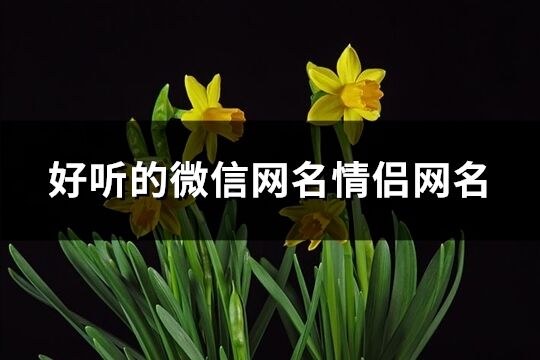 好聽的微信網名情侶網名(精選158個)